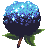 hydrangea pom